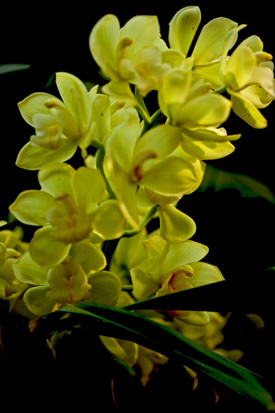 dsc_5111a.jpg