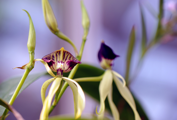 dsc_5149a.jpg