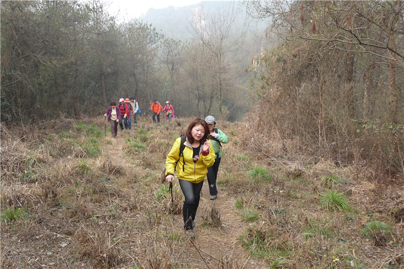 p1050165_.jpg
