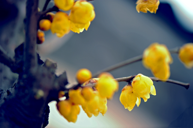 dsc_4797a.jpg