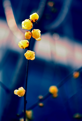dsc_4804a.jpg