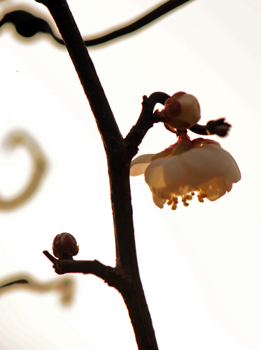 dsc_4812a.jpg