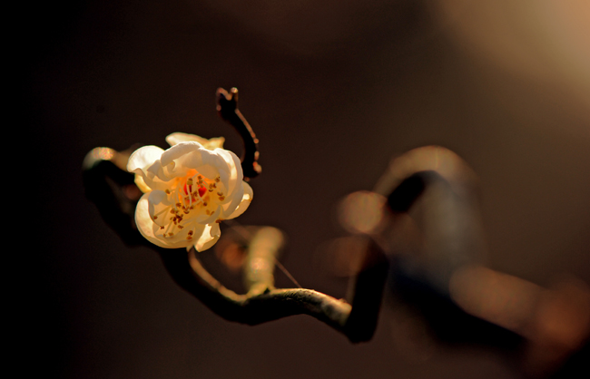 dsc_4820a.jpg