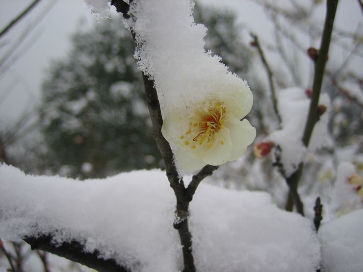 20110120 018.jpg