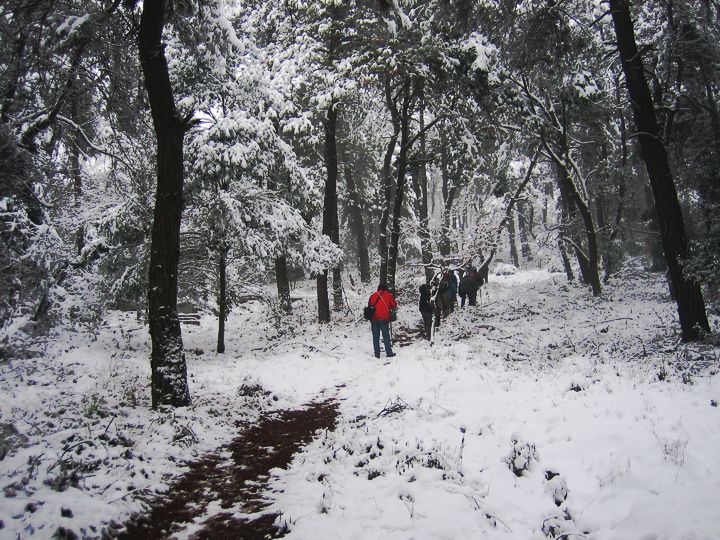 20110120 001.jpg