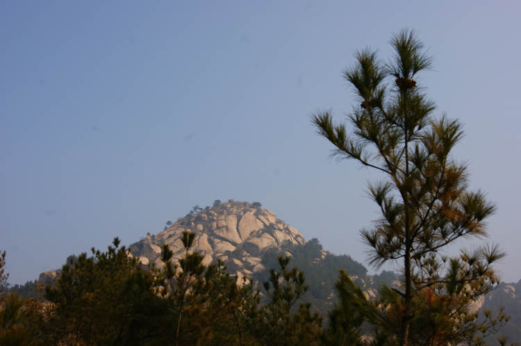 dsc00763.jpg