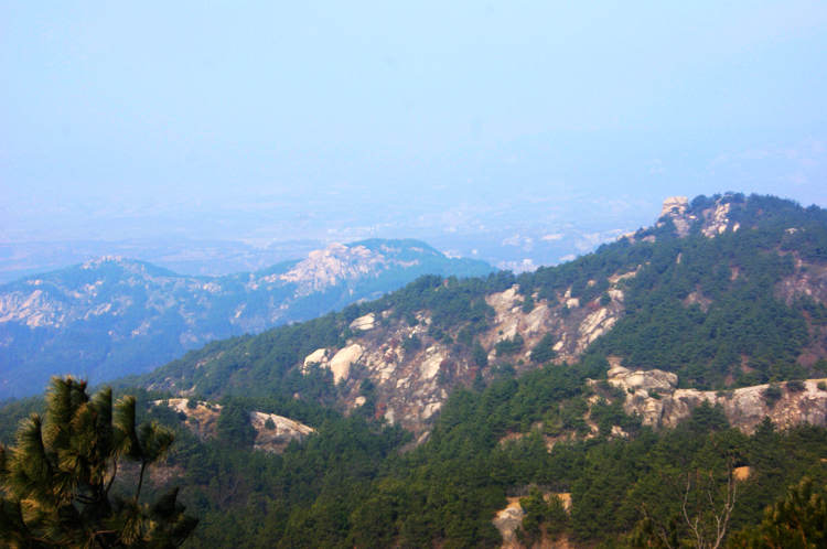 dsc00770.jpg