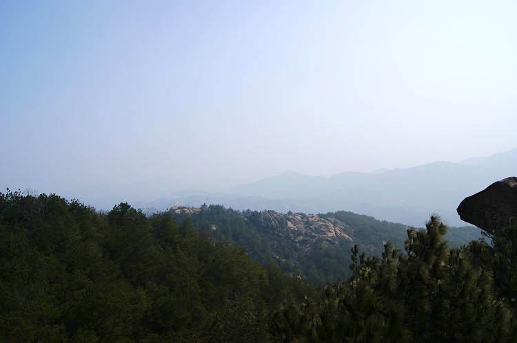 dsc00786.jpg