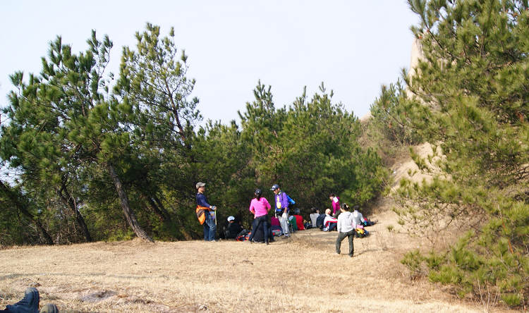 dsc00775.jpg