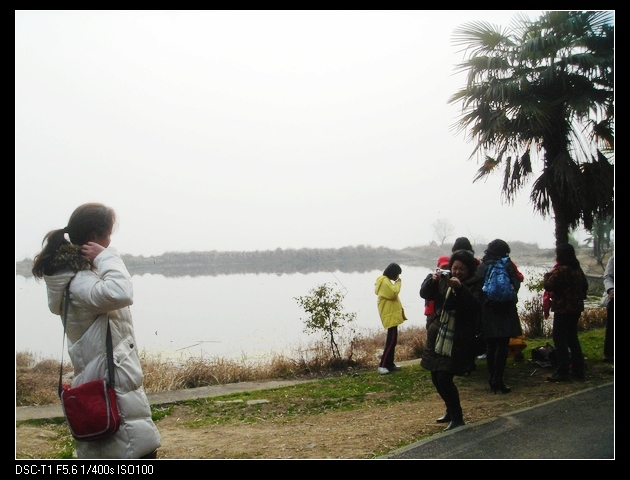 neo_img_dsc07169.jpg
