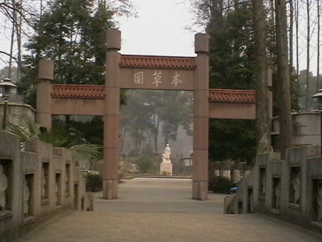 imga0233.jpg