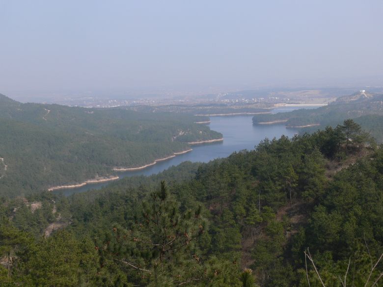 p1130770.jpg