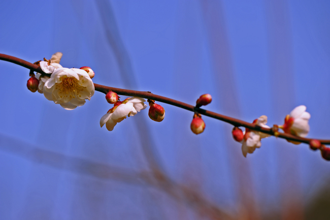dsc_4840a.jpg