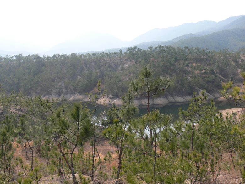 p1130774.jpg
