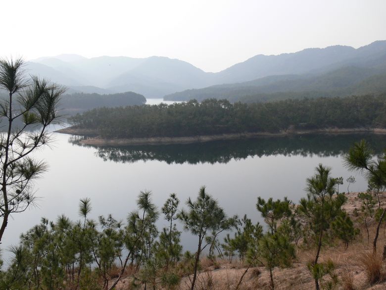 p1130778.jpg