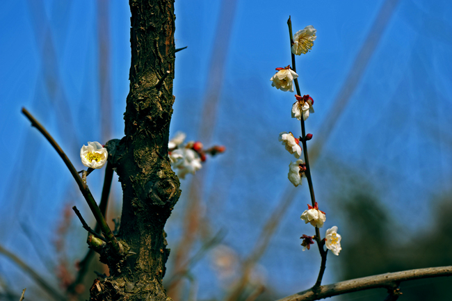 dsc_4841a.jpg