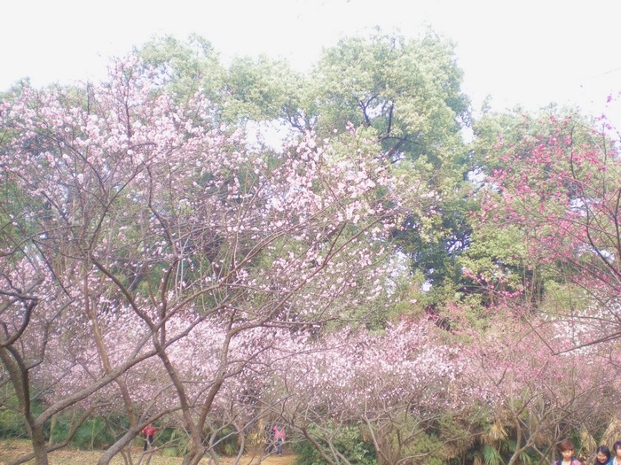 dscn8257.jpg