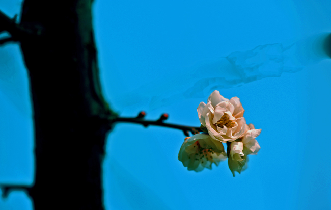 dsc_4842a.jpg