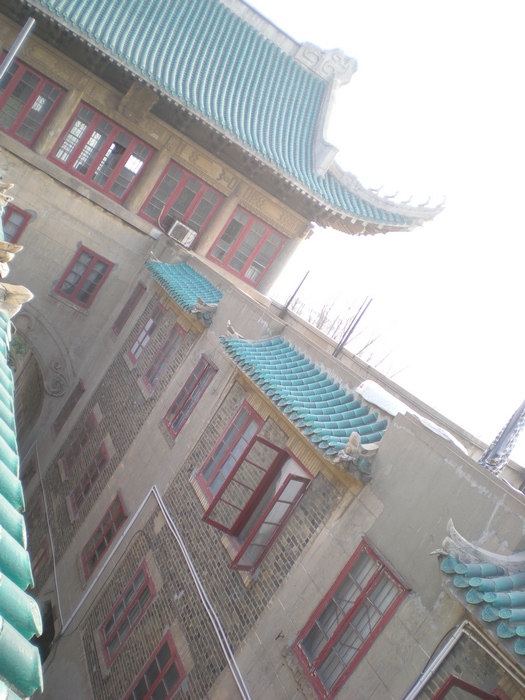 dscn8274.jpg