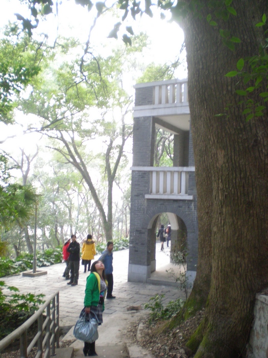 dscn8285.jpg