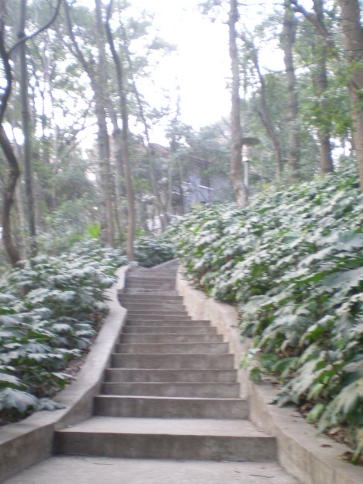 dscn8286.jpg