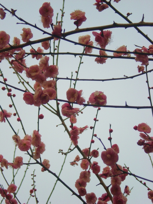 dscn8292.jpg