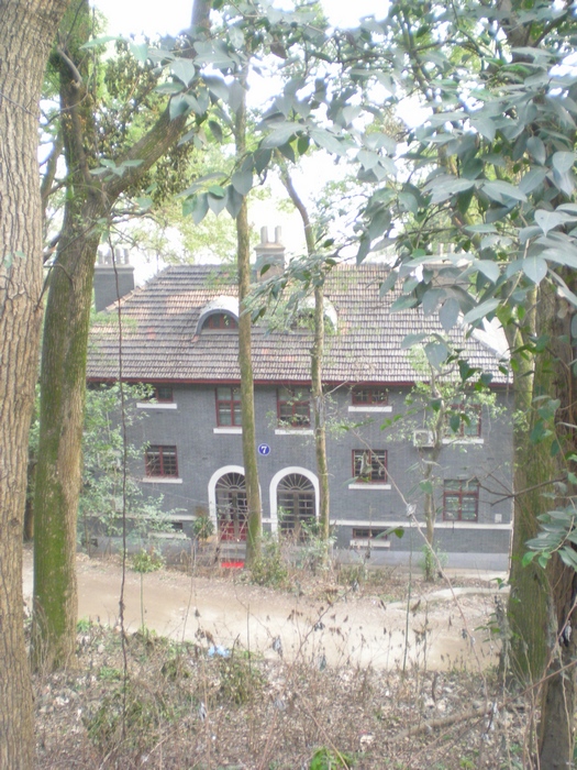 dscn8281.jpg