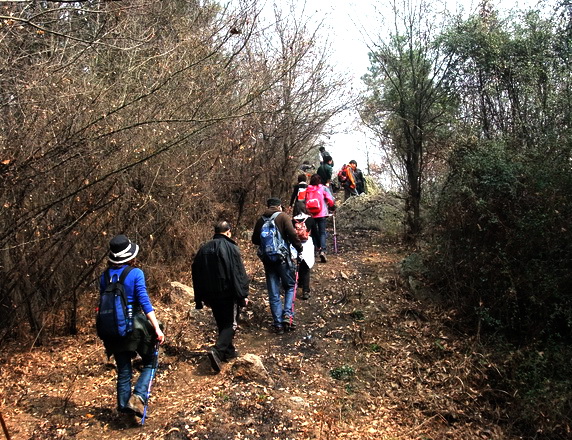 dscf9501.jpg