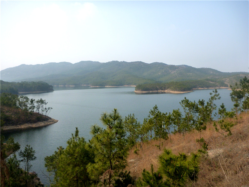 p1040761_.jpg