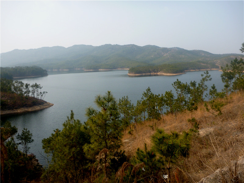 p1040760_.jpg