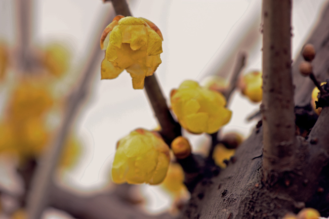 dsc_4847a.jpg