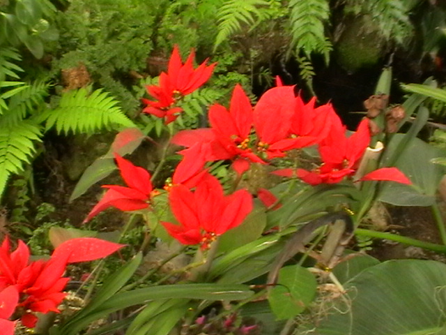 imga0289.jpg