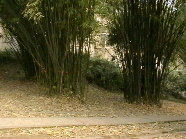 imga0228.jpg