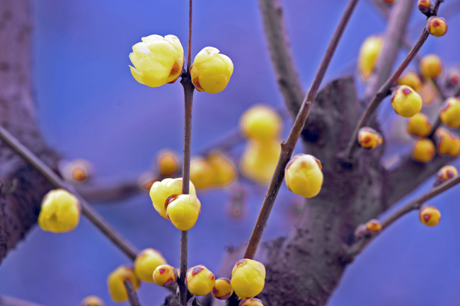 dsc_4849a.jpg
