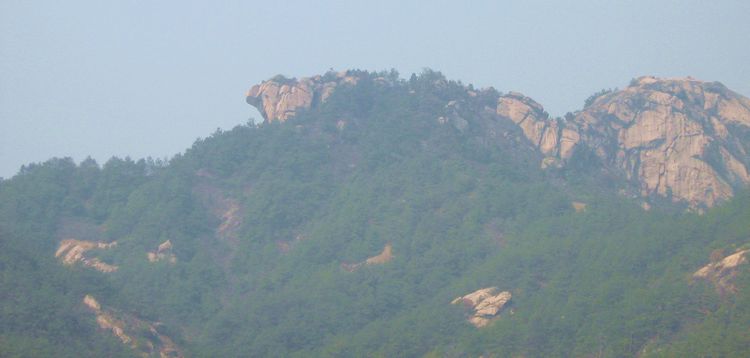 img_3153.jpg