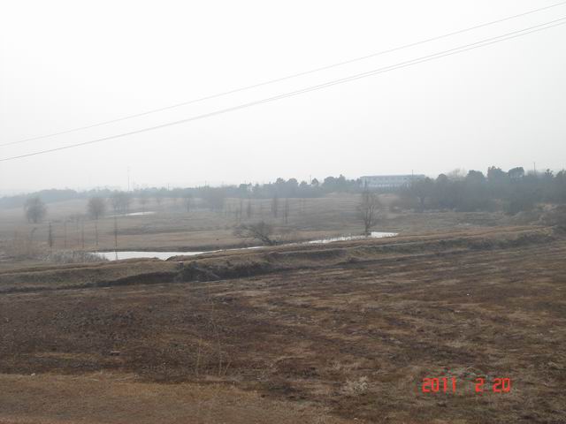 dsc02446.jpg