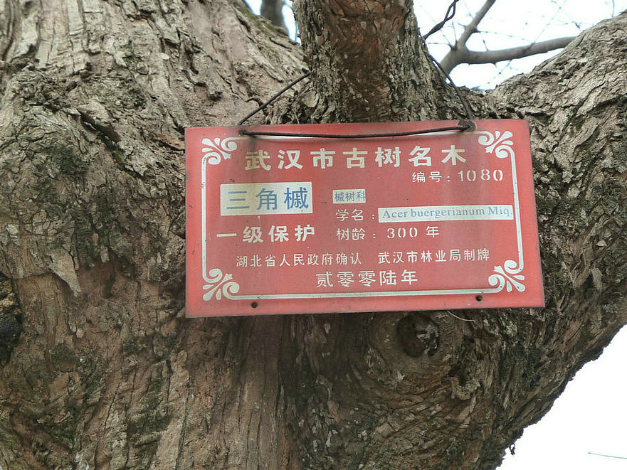 400 047.jpg