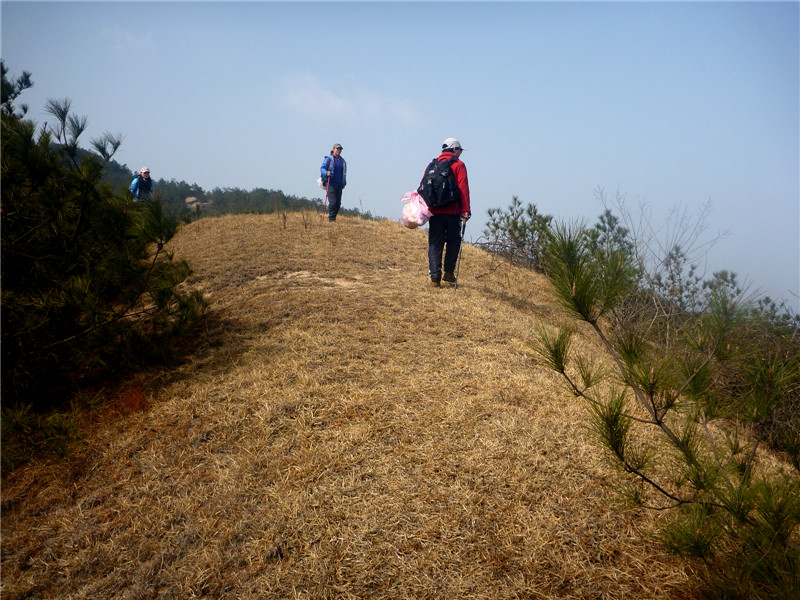 p1040739_.jpg