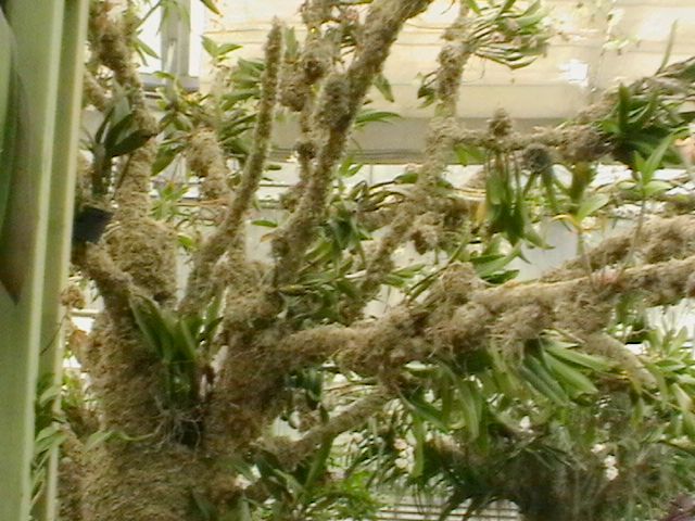 imga0308.jpg