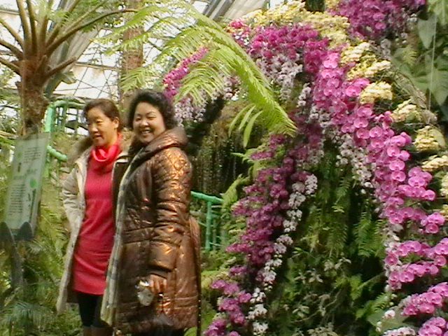 imga0312.jpg
