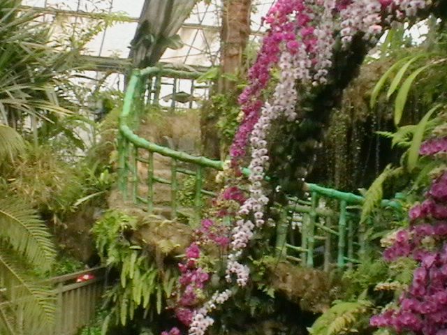 imga0313.jpg