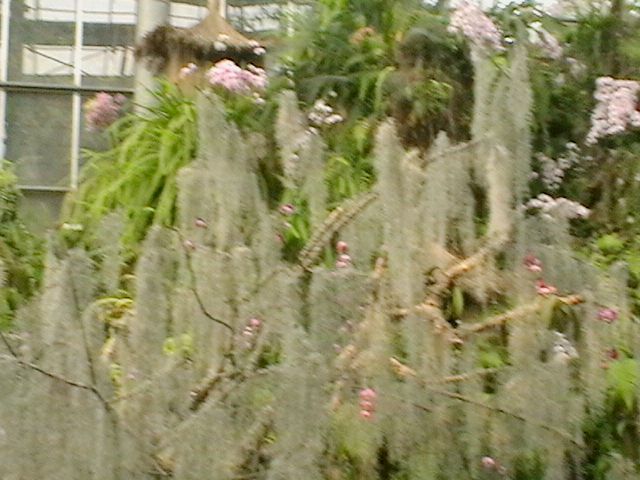 imga0299.jpg