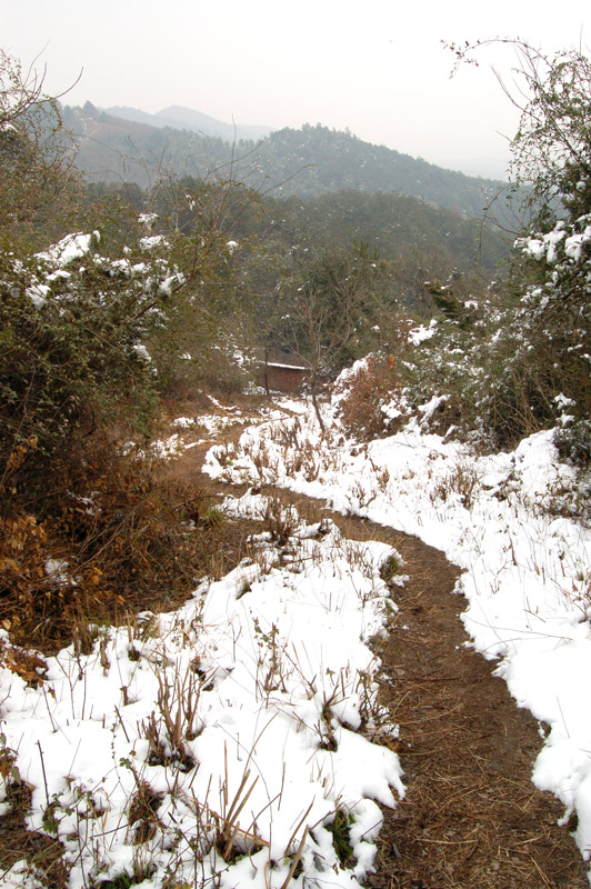 ڷ2011 (140).jpg