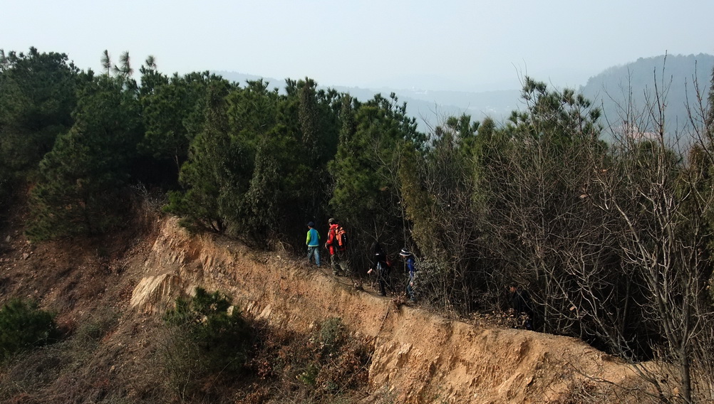 dscf9541.jpg