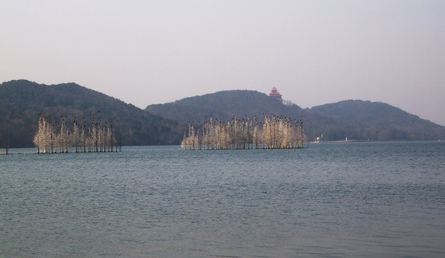 100_7296.jpg