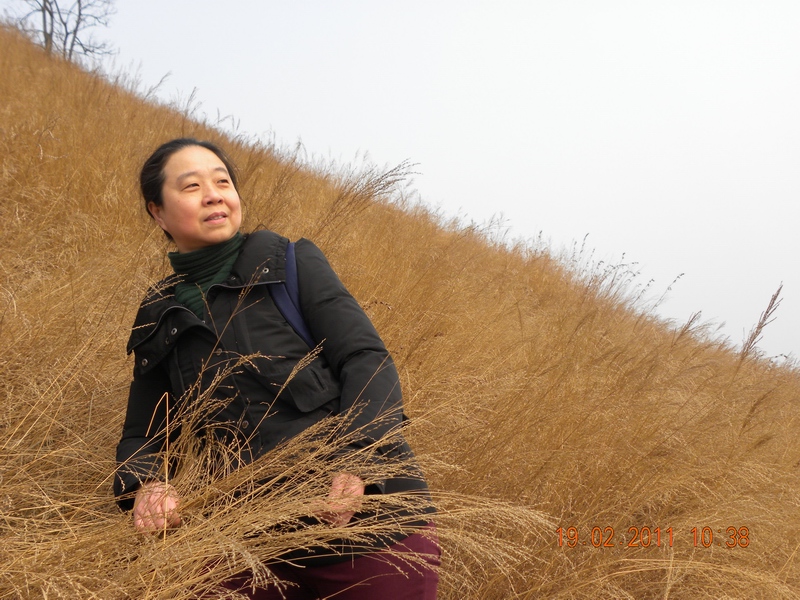 Ƭ 033.jpg