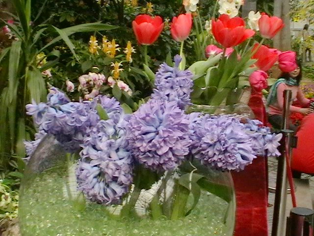 imga0329.jpg
