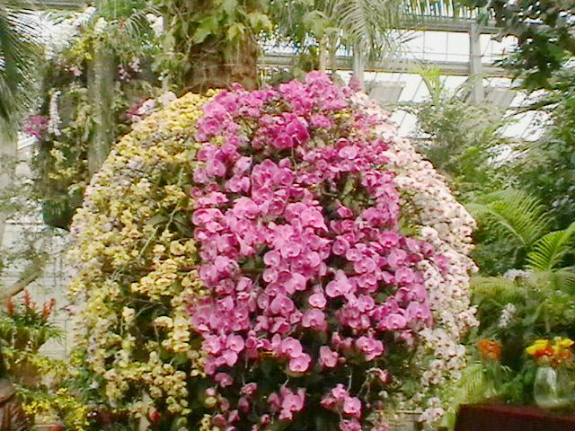 imga0332.jpg