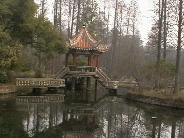 imga0257.jpg