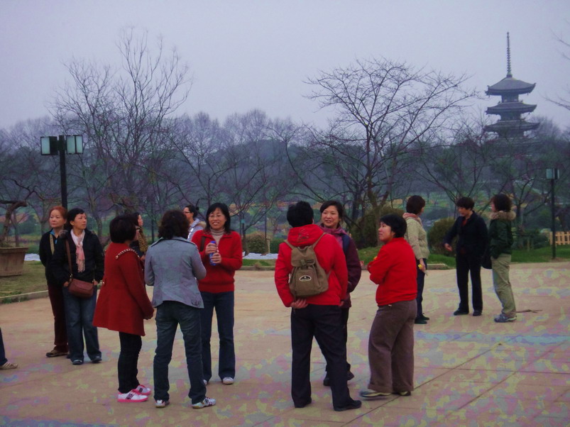 dsc03506.jpg